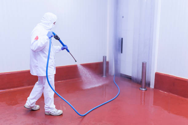 Best Residential House Exterior Washing  in Travis Ranch, TX